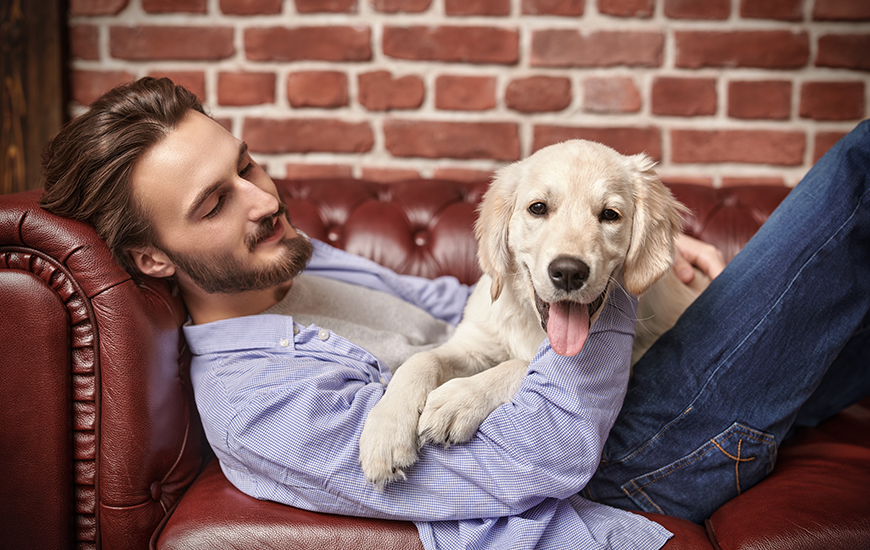 ¿Por qué los perros se parecen a su dueño?